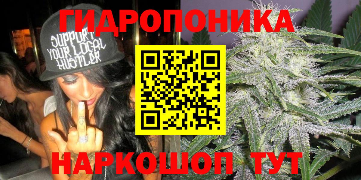 Шишки марихуана гибрид Кисловодск
